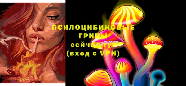 стаф Красноперекопск