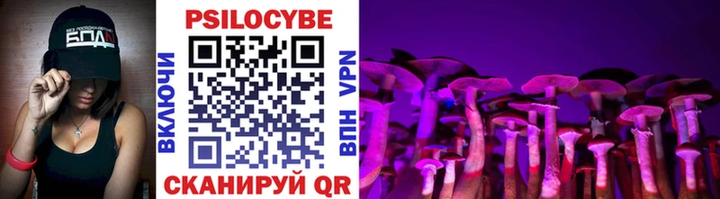 Купить где  Зеленокумск  Псилоцибиновые грибы Psilocybe 